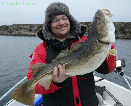 Dorsche sind in Norwegen leicht zu überlisten.